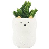 Wholesale - 5.5"H Ceramic Animal Planter wSucculent C/P 8, UPC: 661838837352